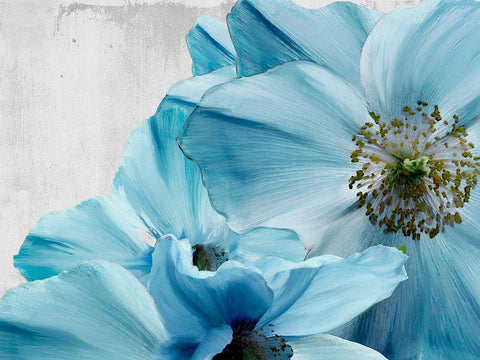 Touch and Contrast II Black Ornate Wood Framed Art Print with Double Matting by Sommers, Mindy