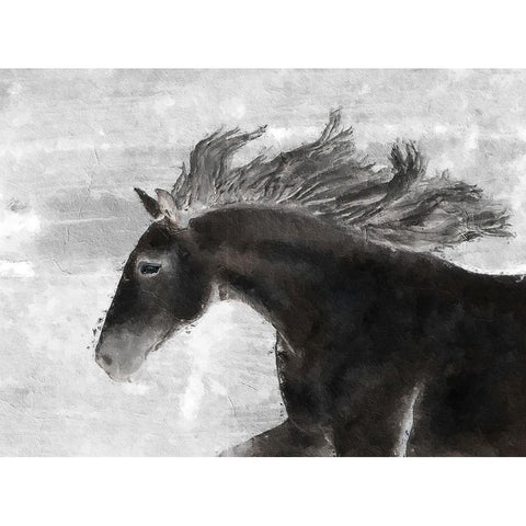 Black Horse Black Modern Wood Framed Art Print with Double Matting by Sommers, Mindy