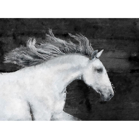 White Horse Black Modern Wood Framed Art Print by Sommers, Mindy