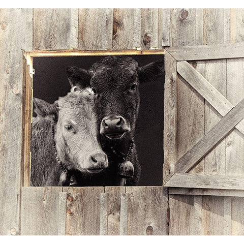 Best Friends Black Modern Wood Framed Art Print with Double Matting by Sommers, Mindy