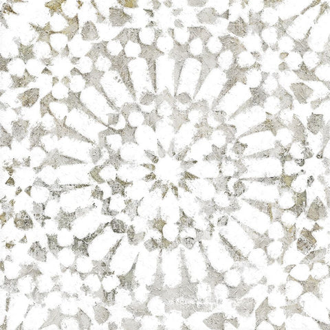 Star Gazing White Modern Wood Framed Art Print with Double Matting by Sommers, Mindy