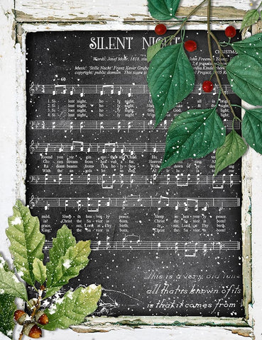 Silent Night Black Ornate Wood Framed Art Print with Double Matting by Sommers, Mindy