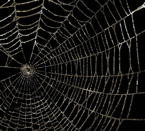 Spider Web Black Ornate Wood Framed Art Print with Double Matting by Sommers, Mindy