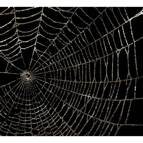 Spider Web Black Modern Wood Framed Art Print by Sommers, Mindy
