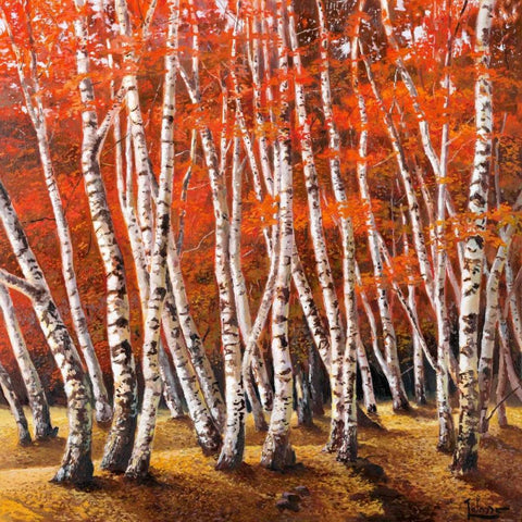 Bosco di betulle I Gold Ornate Wood Framed Art Print with Double Matting by Galasso, Adriano