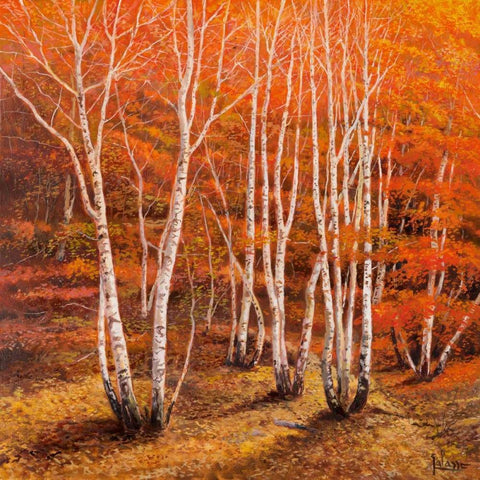 Bosco di betulle II Black Modern Wood Framed Art Print by Galasso, Adriano