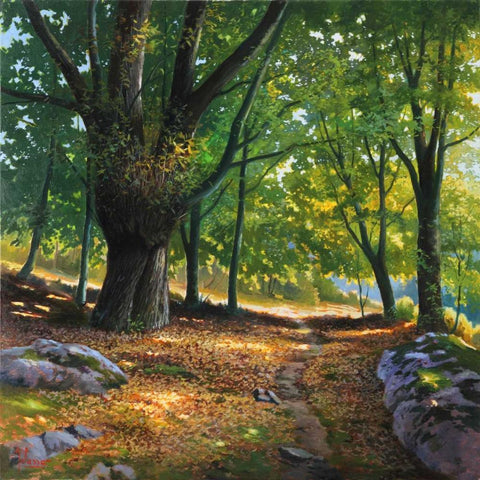 Luce nel bosco Black Ornate Wood Framed Art Print with Double Matting by Galasso, Adriano