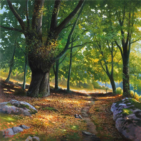 Luce nel bosco Gold Ornate Wood Framed Art Print with Double Matting by Galasso, Adriano