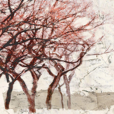 Rusty Trees I Gold Ornate Wood Framed Art Print with Double Matting by Alessio, Aprile