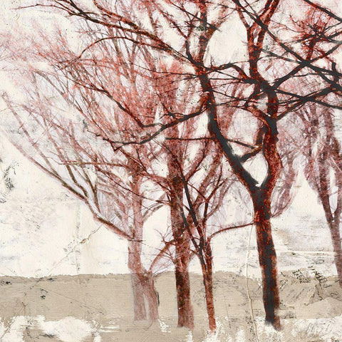 Rusty Trees II Gold Ornate Wood Framed Art Print with Double Matting by Alessio, Aprile