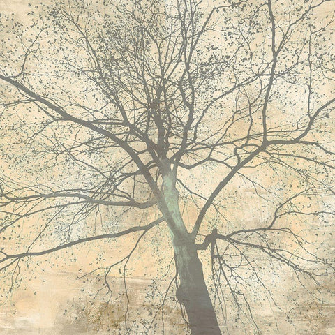 Below My Tree II (detail) Black Ornate Wood Framed Art Print with Double Matting by Aprile, Alessio