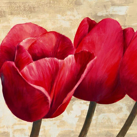 Red Tulips Black Modern Wood Framed Art Print by Ann, Cynthia