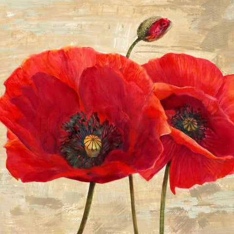 Red Poppies (detail II) Black Ornate Wood Framed Art Print with Double Matting by Ann, Cynthia