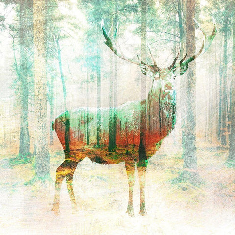 Lord of the Woods (detail) Black Ornate Wood Framed Art Print with Double Matting by Arlo Wren Photos