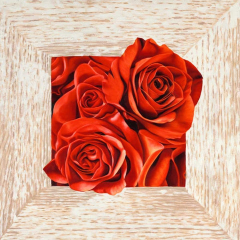 French Roses I Black Modern Wood Framed Art Print by Benson, Pierre