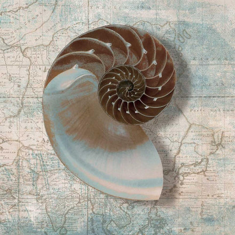 Nautilus Gold Ornate Wood Framed Art Print with Double Matting by Broome, Ted