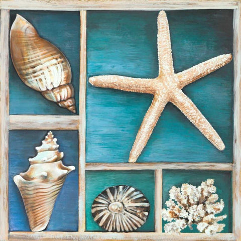 Collection of Memories II White Modern Wood Framed Art Print with Double Matting by Broome, Ted