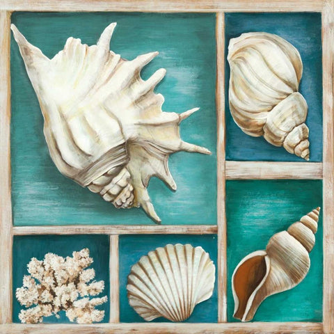 Collection of Memories III Black Modern Wood Framed Art Print with Double Matting by Broome, Ted