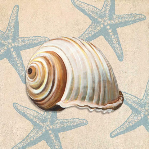 Ocean Gift III White Modern Wood Framed Art Print by Broome, Ted