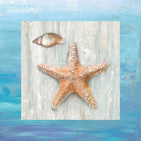 From the Sea II Black Ornate Wood Framed Art Print with Double Matting by Broome, Ted