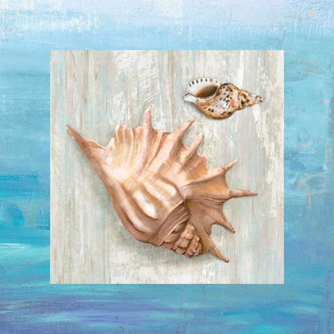 From the Sea III Black Modern Wood Framed Art Print by Broome, Ted