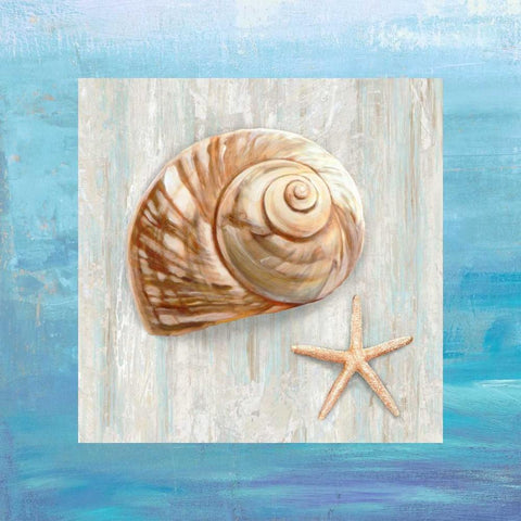 From the Sea IV Black Ornate Wood Framed Art Print with Double Matting by Broome, Ted