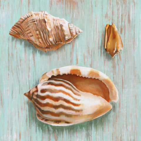 Bretagne II Black Modern Wood Framed Art Print by Broome, Ted