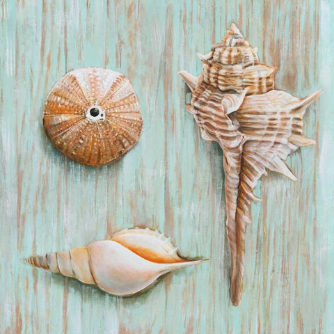 Bretagne III Black Modern Wood Framed Art Print by Broome, Ted