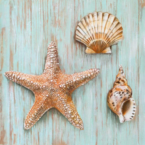 Bretagne IV White Modern Wood Framed Art Print with Double Matting by Broome, Ted