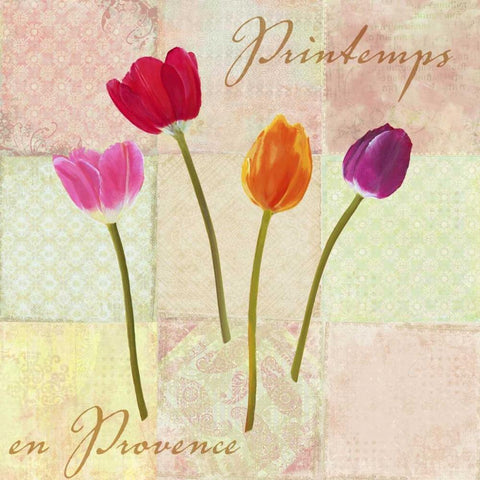 Printemps en Provence Gold Ornate Wood Framed Art Print with Double Matting by Dellal, Remy