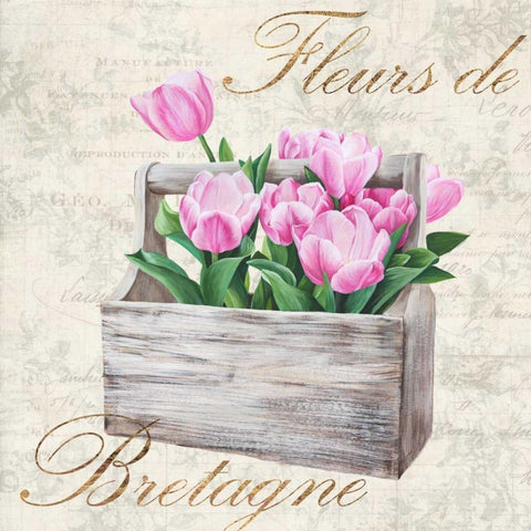 Fleurs de Bretagne Gold Ornate Wood Framed Art Print with Double Matting by Dellal, Remy