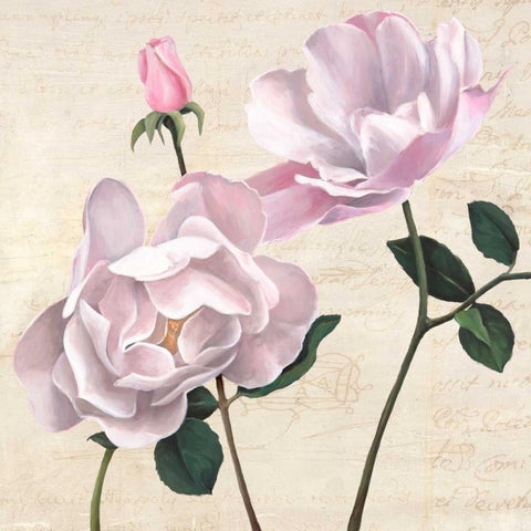 Classica II White Modern Wood Framed Art Print by Dellal, Remy