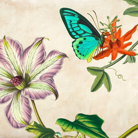 Panneau Botanique VI Black Modern Wood Framed Art Print with Double Matting by Dellal, Remy