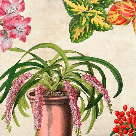 Panneau Botanique VII White Modern Wood Framed Art Print by Dellal, Remy