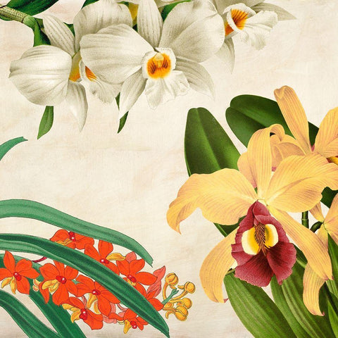 Panneau Botanique VIII White Modern Wood Framed Art Print with Double Matting by Dellal, Remy