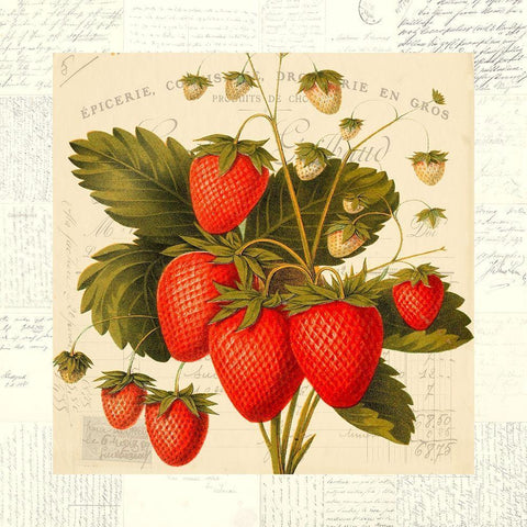 Fraises Black Modern Wood Framed Art Print with Double Matting by Dellal, Remy