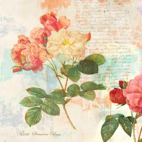 Redoutes Roses 2.0 - IÂ  Black Modern Wood Framed Art Print by Chestier, Eric