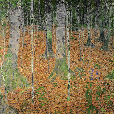 The Birch Wood White Modern Wood Framed Art Print with Double Matting by Klimt, Gustav