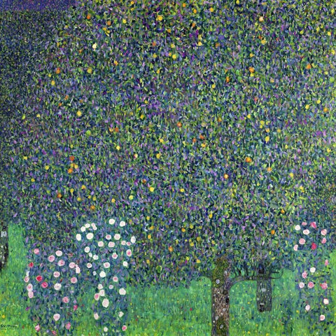 Roses under the Trees White Modern Wood Framed Art Print by Klimt, Gustav