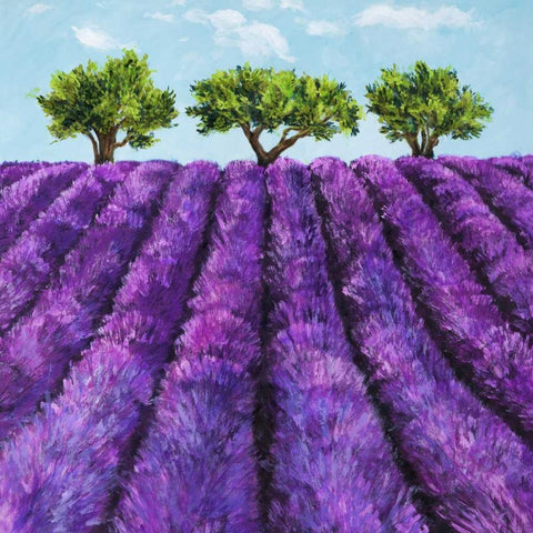 Filari di lavanda Black Ornate Wood Framed Art Print with Double Matting by Germani, Massimo