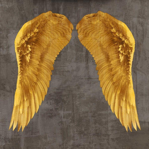 Angel Wings I Black Modern Wood Framed Art Print with Double Matting by Joannoo