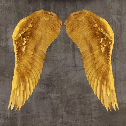 Angel Wings I White Modern Wood Framed Art Print with Double Matting by Joannoo