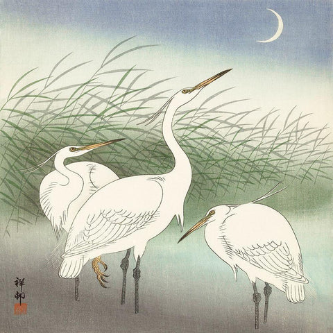 Herons in shallow water Gold Ornate Wood Framed Art Print with Double Matting by Koson, Ohara