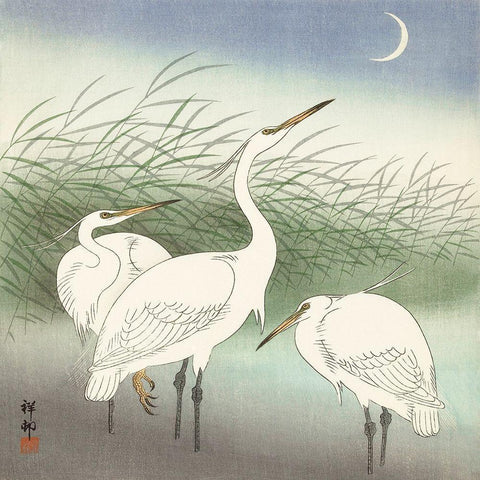 Herons in shallow water White Modern Wood Framed Art Print by Koson, Ohara