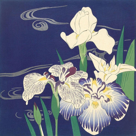 Irises on the Water White Modern Wood Framed Art Print with Double Matting by Kogyo, Tsukioka