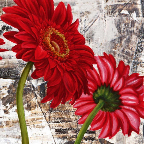 Red Gerberas III White Modern Wood Framed Art Print with Double Matting by Thomlinson, Jenny