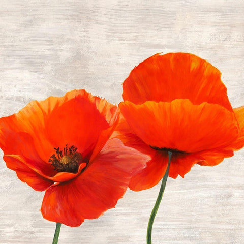 Bright Poppies II Gold Ornate Wood Framed Art Print with Double Matting by Jenny, Thomlinson