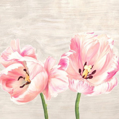 Classic Tulips II White Modern Wood Framed Art Print with Double Matting by Jenny, Thomlinson