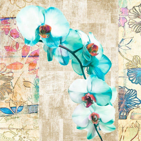 Kaleidoscope Orchid II (detail) White Modern Wood Framed Art Print by Kelly, Parr