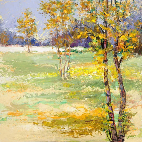 Brezza del bosco White Modern Wood Framed Art Print with Double Matting by Lucas